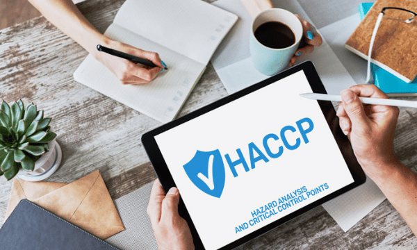 How Often Should A HACCP Plan Be Reviewed