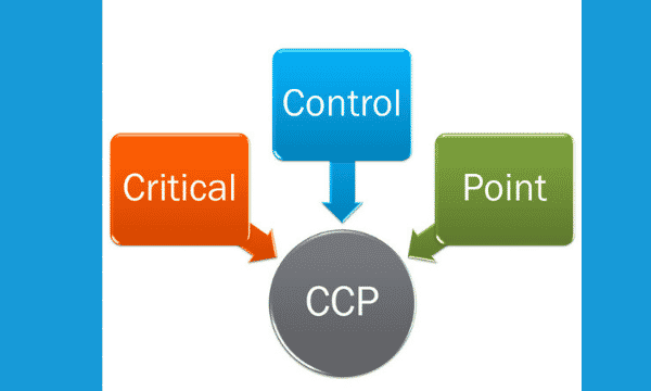 What Is A Critical Control Point?