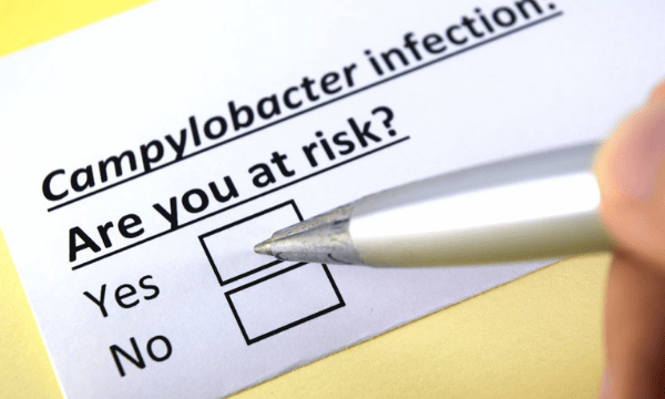 How To Reduce The RIsk of Campylobacter