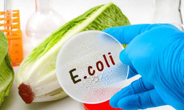 How To Prevent An E.coli Outbreak