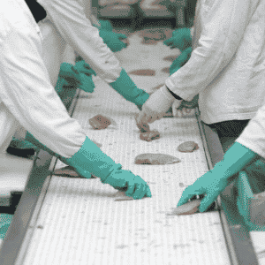 Level 2 Food Safety for Food Manufacturing eLearning